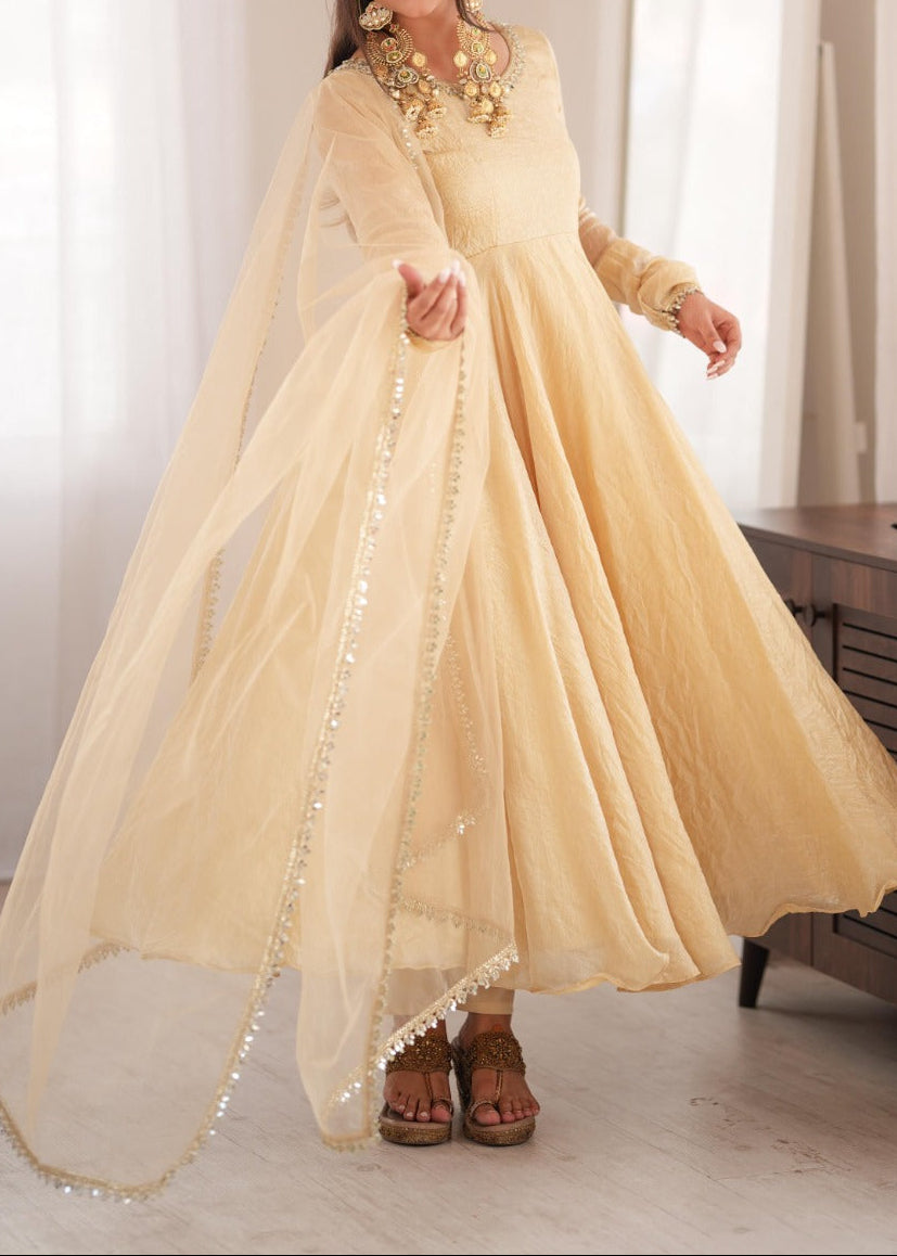 Crush Silk Heavy Flare Anarkali Suit Set With Mirror Work detailing