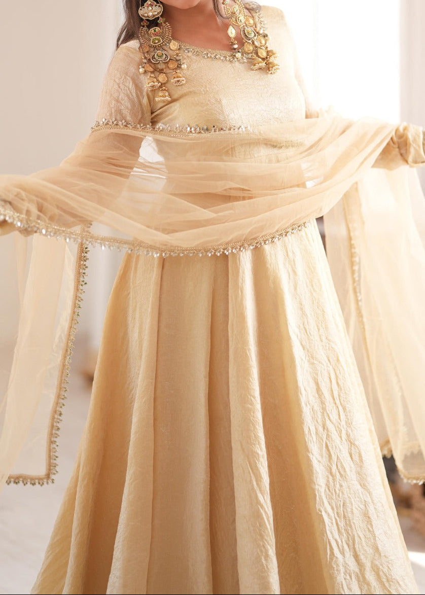 Crush Silk Heavy Flare Anarkali Suit Set With Mirror Work detailing