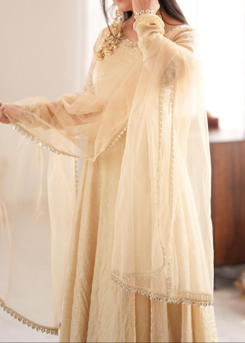 Crush Silk Heavy Flare Anarkali Suit Set With Mirror Work detailing